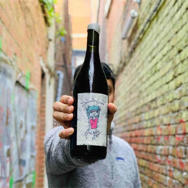 Gris Noir - Lucy Margaux Vineyards - Anton Van Klopper 