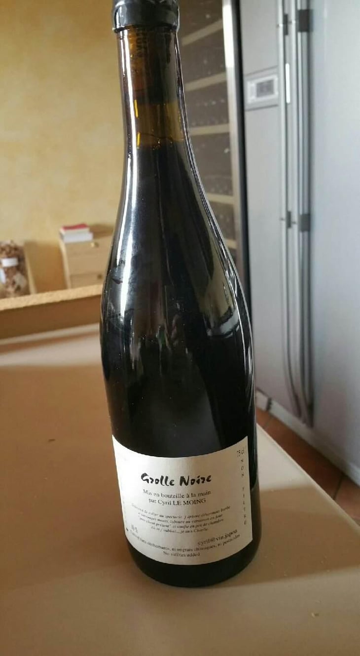 Grolle Noire - Cyril Le Moing - Cyril Le Moing 