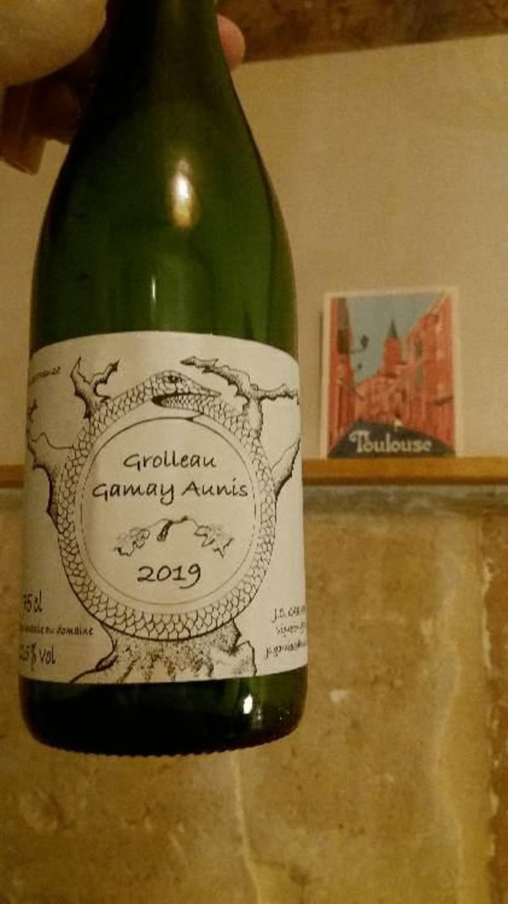 Grolleau Gamay Aunis - Jean-Christophe Garnier - Jean-Christophe Garnier 
