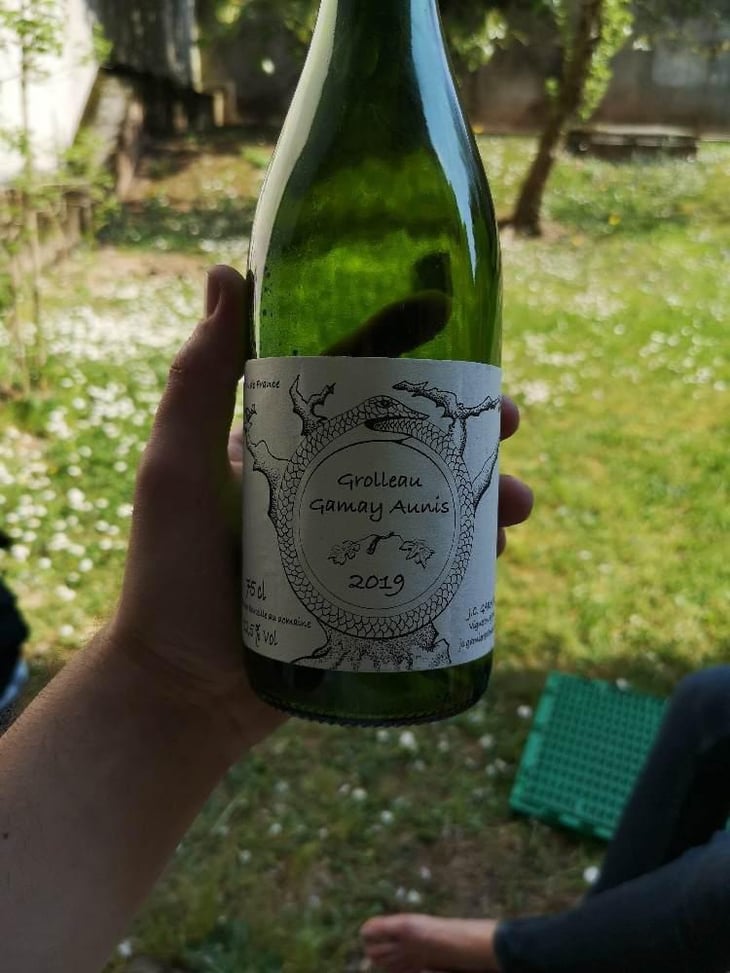 Grolleau Gamay Aunis - Jean-Christophe Garnier - Jean-Christophe Garnier 