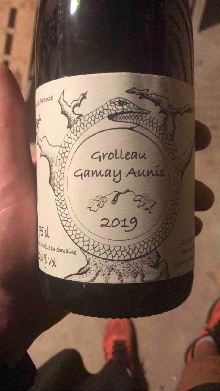 Grolleau Gamay Aunis - Jean-Christophe Garnier - Jean-Christophe Garnier 