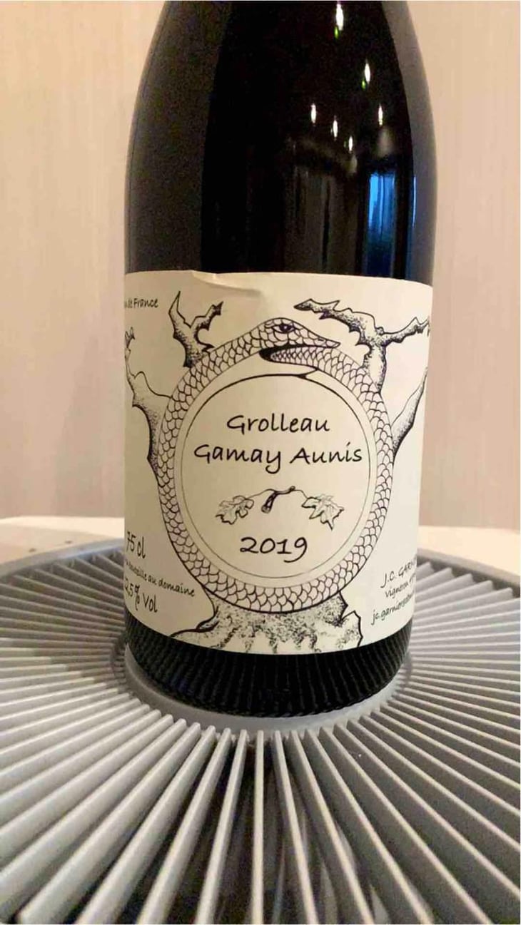 Grolleau Gamay Aunis - Jean-Christophe Garnier - Jean-Christophe Garnier 