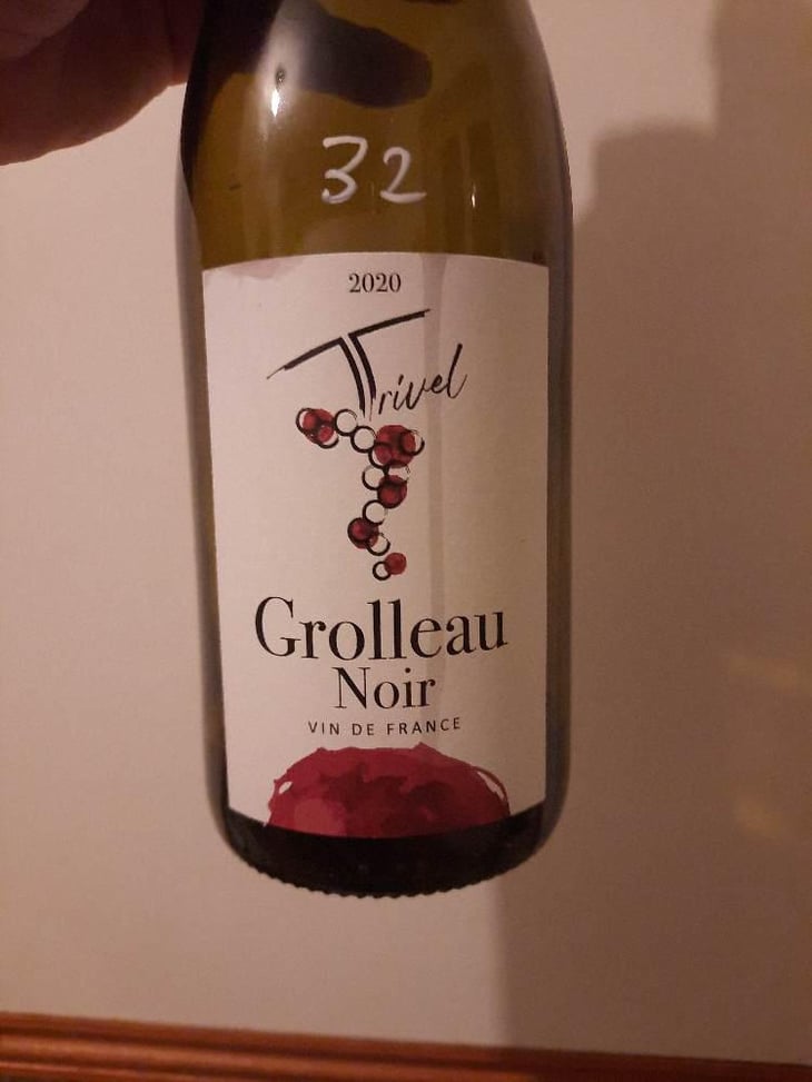 Grolleau Noir - Domaine de Trivel - Sidonie Joggerst & Thomas Guillon 