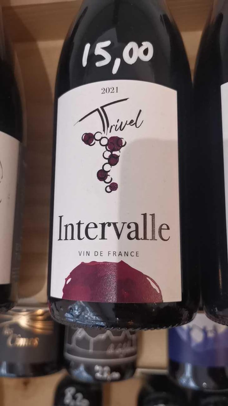Grolleau Noir - Domaine de Trivel - Sidonie Joggerst & Thomas Guillon 