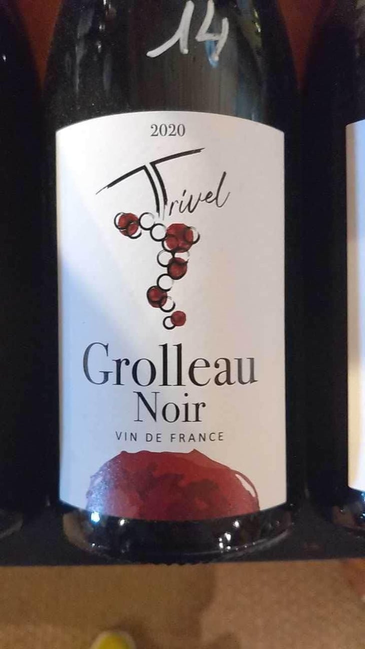 Grolleau Noir - Domaine de Trivel - Sidonie Joggerst & Thomas Guillon 