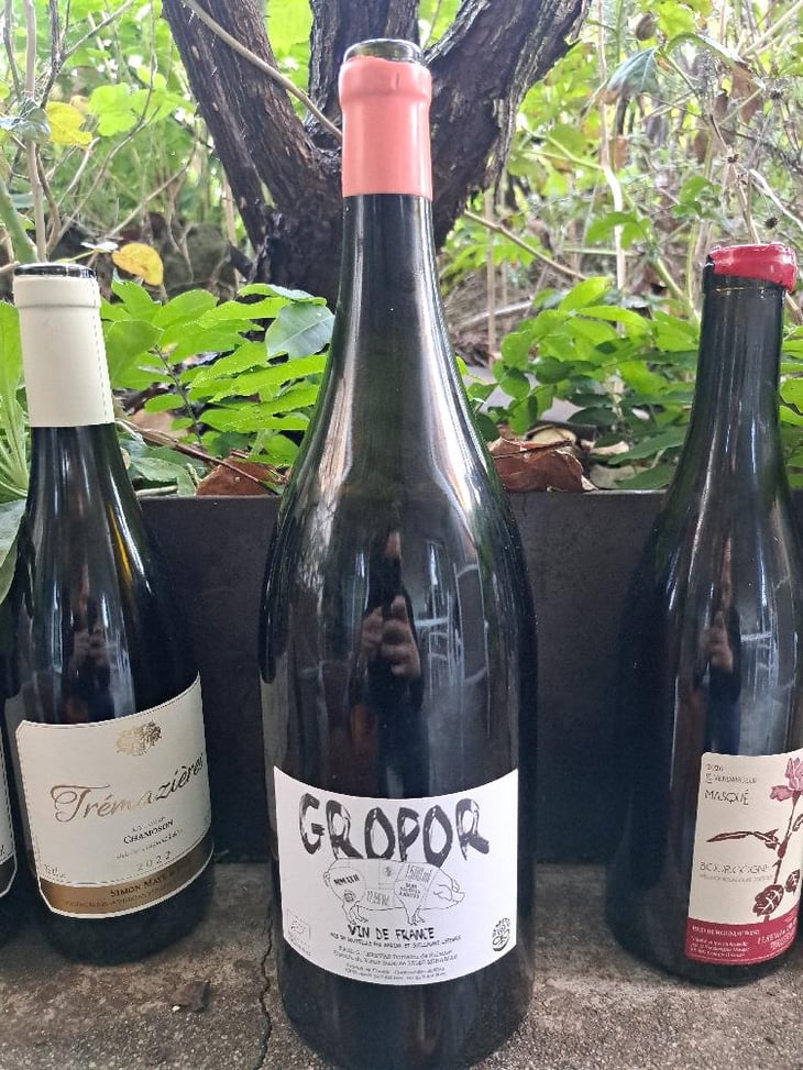 Gropor (Magnum) - Domaine de Sulauze - Karina & Guillaume Lefèvre 