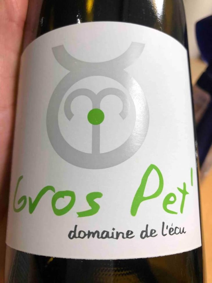 Gros Pet' - Domaine de L'Ecu - Claire & Fred NIGER 