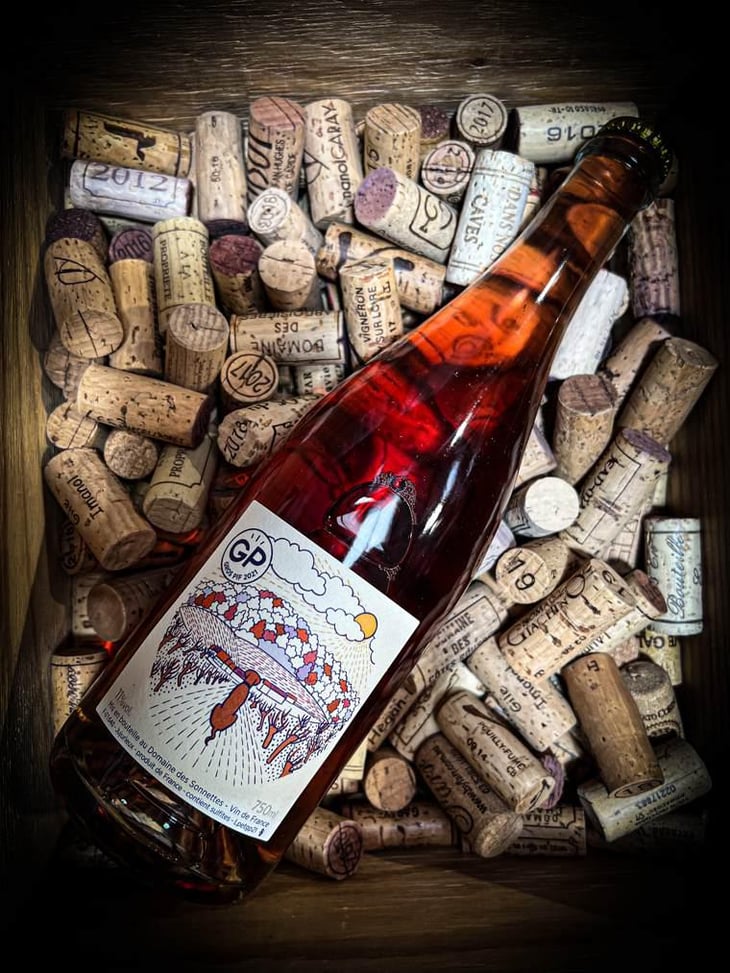Gros Pif - Domaine des Sonnettes - Sonshine Vins - Edouard Gouyette & Lisanne van Son -2021