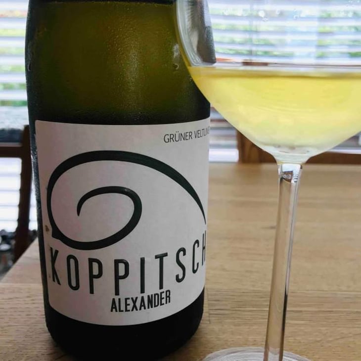 Grüner Veltliner Authentisch Trocken - Weingut Koppitsch - Maria & Alex Koppitsch 