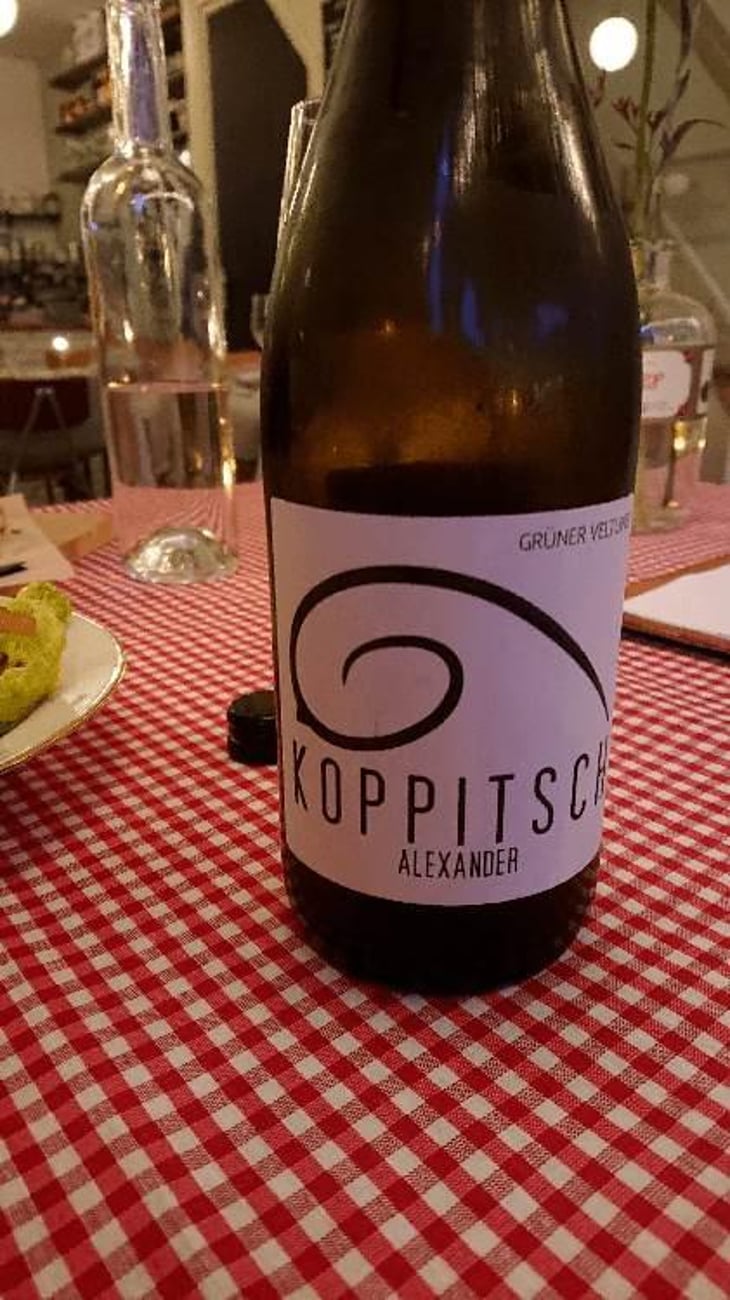 Grüner Veltliner Authentisch Trocken - Weingut Koppitsch - Maria & Alex Koppitsch 