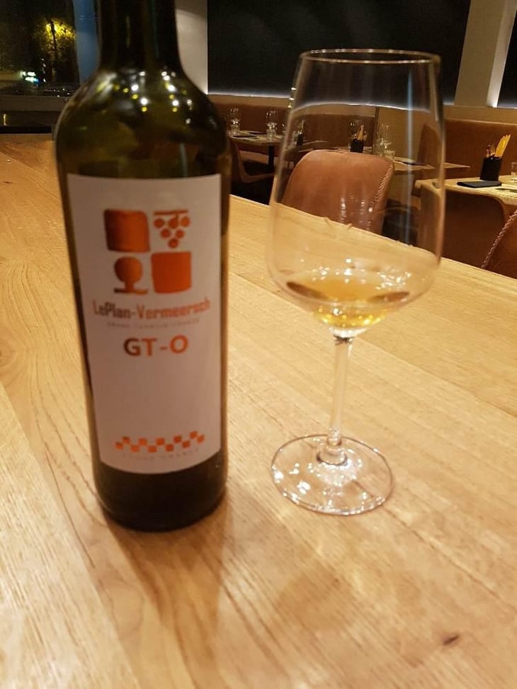 GT-O - LePlan-Vermeersch - Dirk Vermeersch 