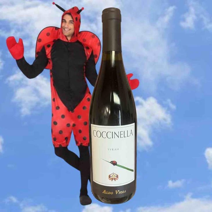 Guarini Coccinella - Azienda Agricola Aldo Viola - Aldo Viola 