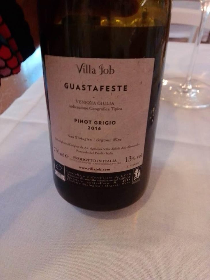 Guastafeste - Villa Job - Alessandro Job 