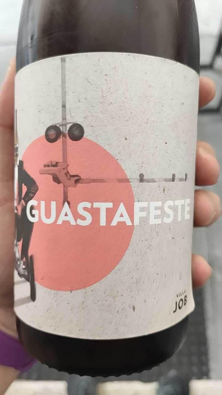 Guastafeste - Villa Job - Alessandro Job 