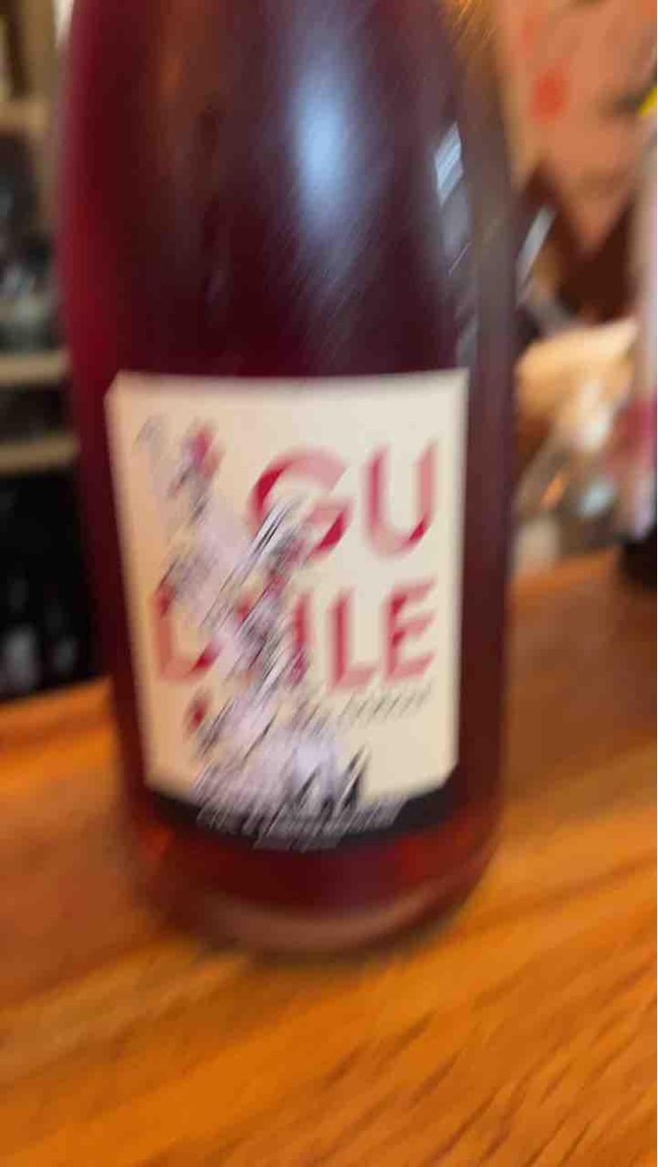 Gudule - Domaine du Mortier - Fabien & Cyril Boisard -2021