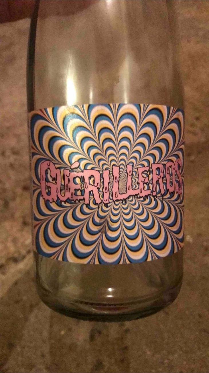 Guérilleros - Gilles Troullier - Gilles Troullier 