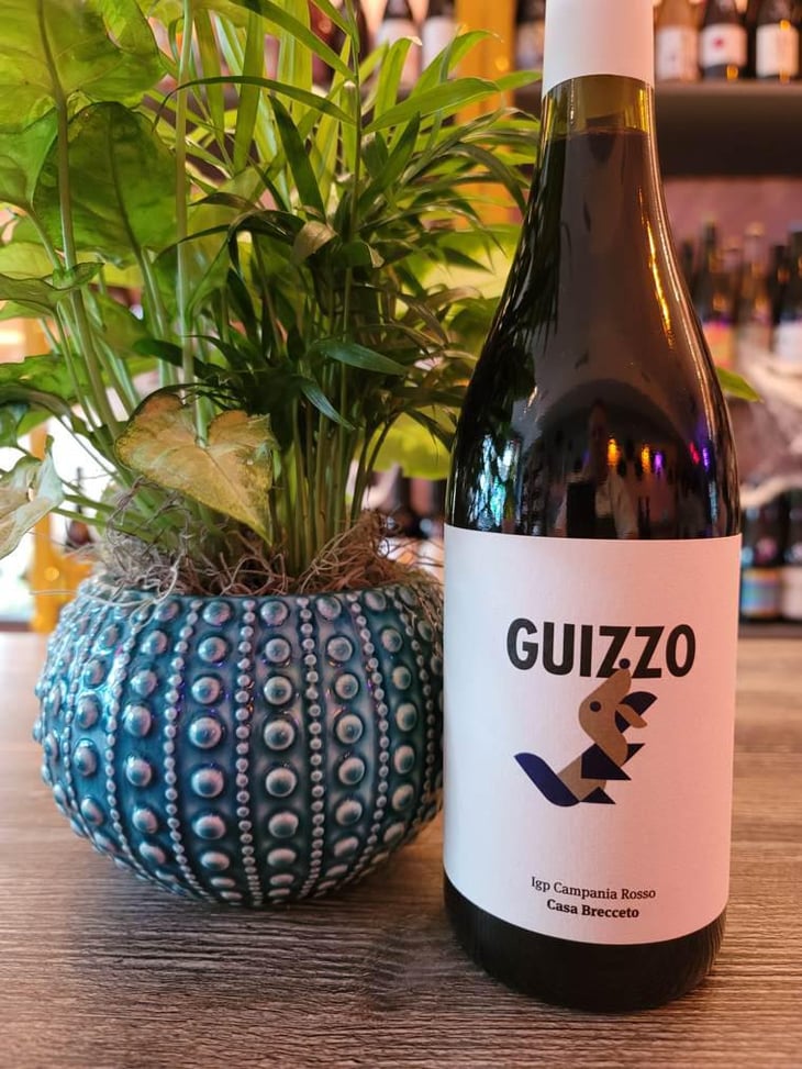 Guizzo - Casa Brecceto - Casa Brecceto -2019