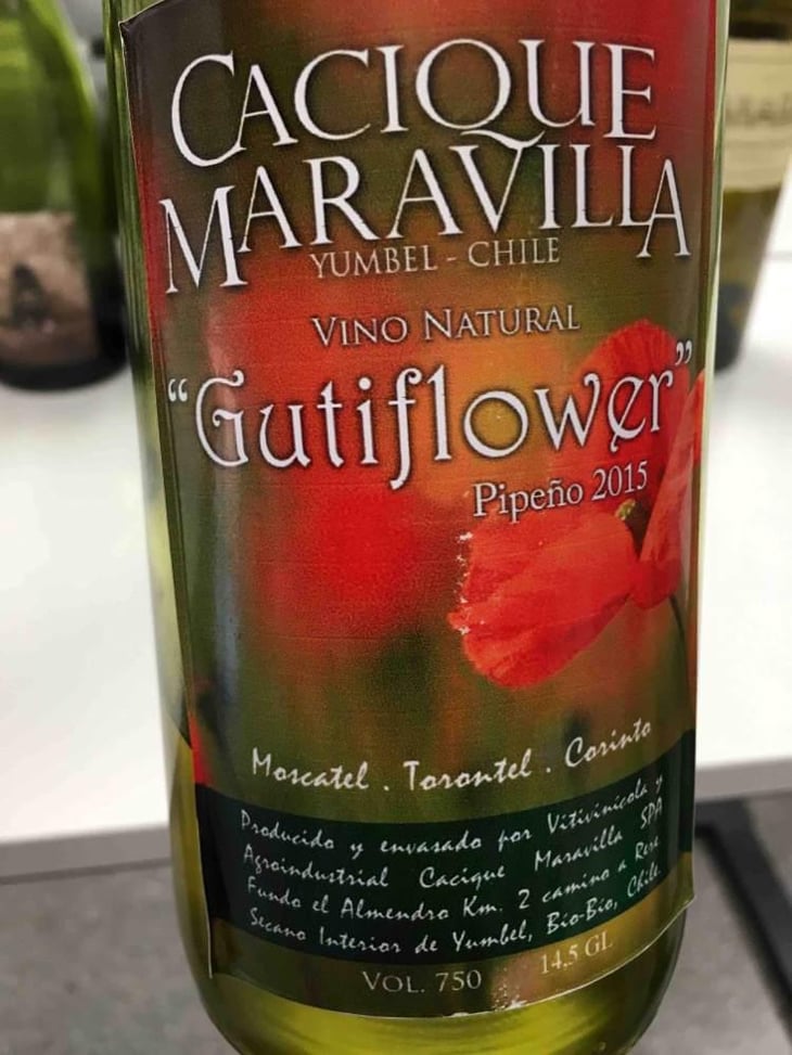 Gutiflower - Cacique Maravilla - Manuel Moraga 