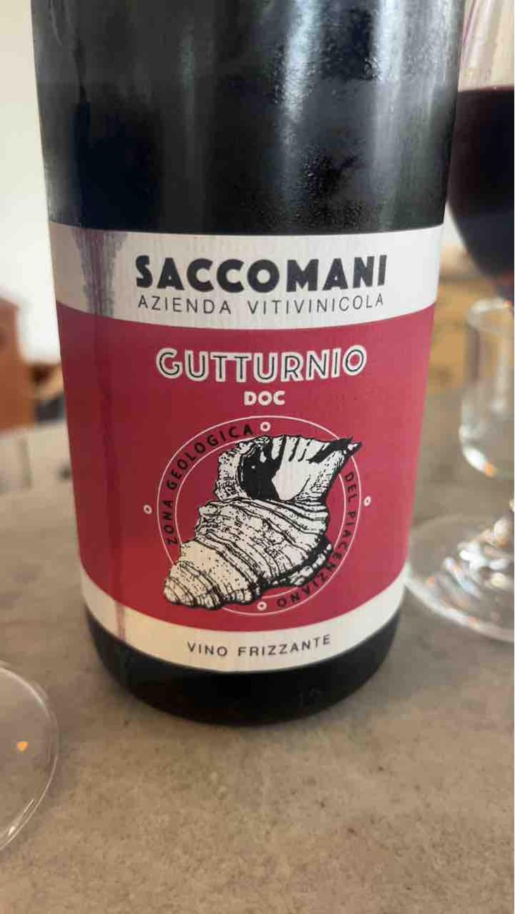 Gutturnio - Azienda Vitivinicola Saccomani - Saccomani Giuseppe, Luca e Claudia 
