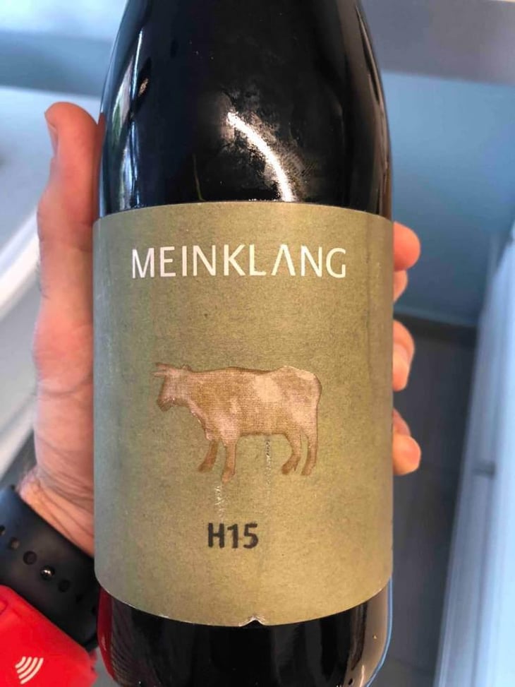 H15 Harslevelu - Meinklang - Weingut Michlits - Angela & Werner Michlits 