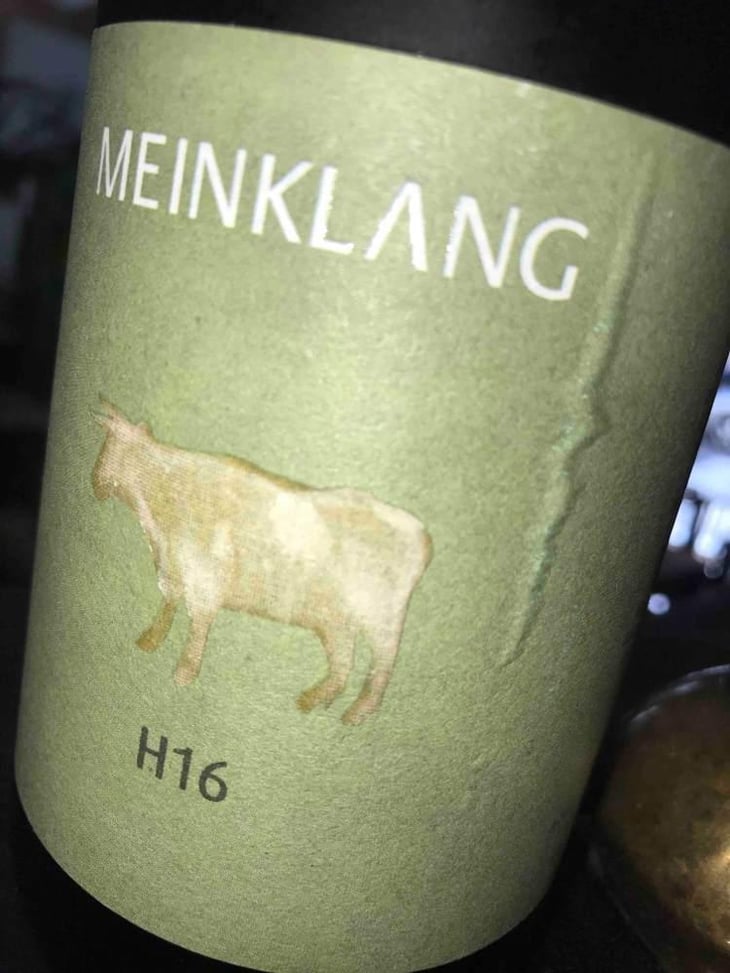 H16 - Meinklang - Weingut Michlits - Angela & Werner Michlits 