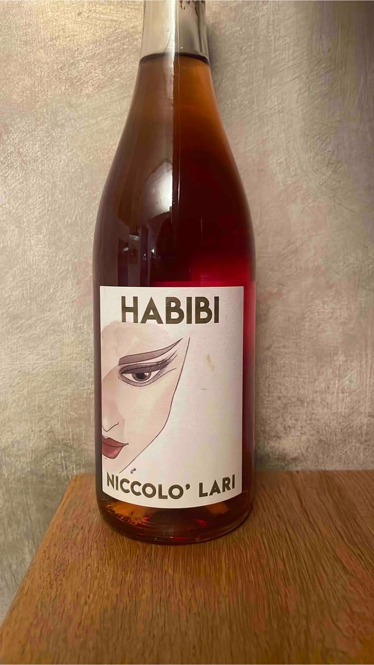 Habibi - La Svolta - Niccolò Lari 