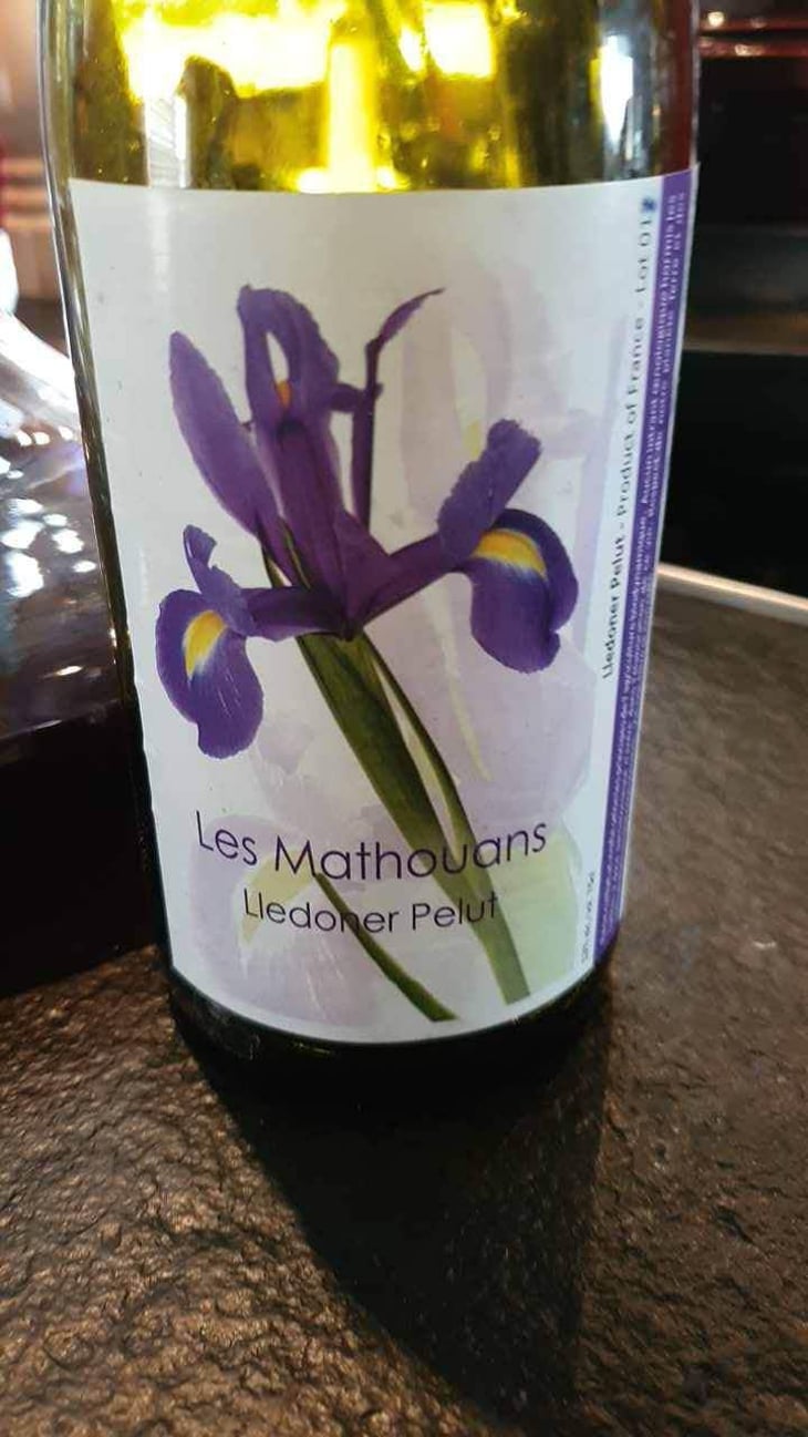 Lledoner Pelut - Domaine des Mathouans - Aline Hock 
