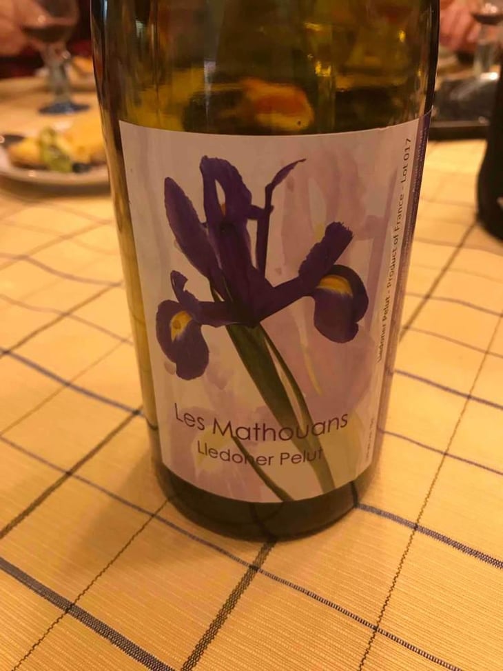 Lledoner Pelut - Domaine des Mathouans - Aline Hock 