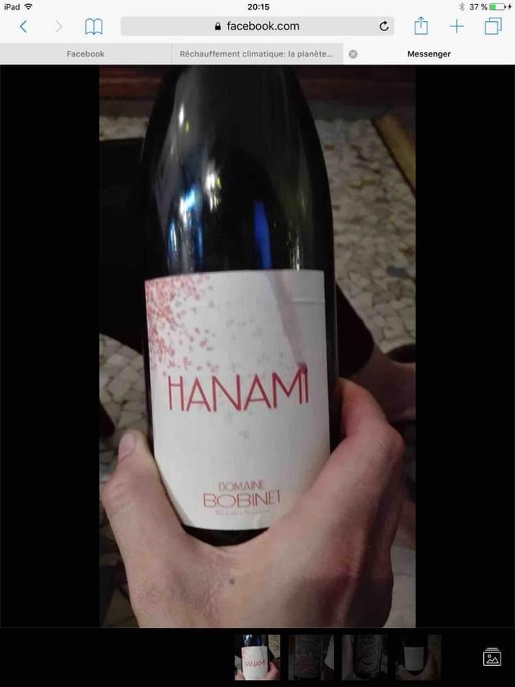 Hanami - Domaine Calvez-Bobinet - Sébastien Bobinet & Emeline Calvez 