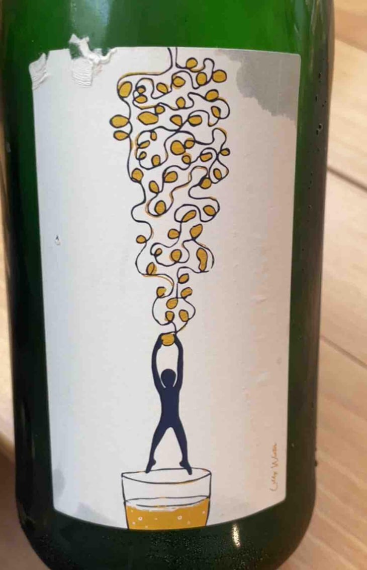 Hang On - Soma Vines - Daisy Merrick & Antoine Lucchesi. 