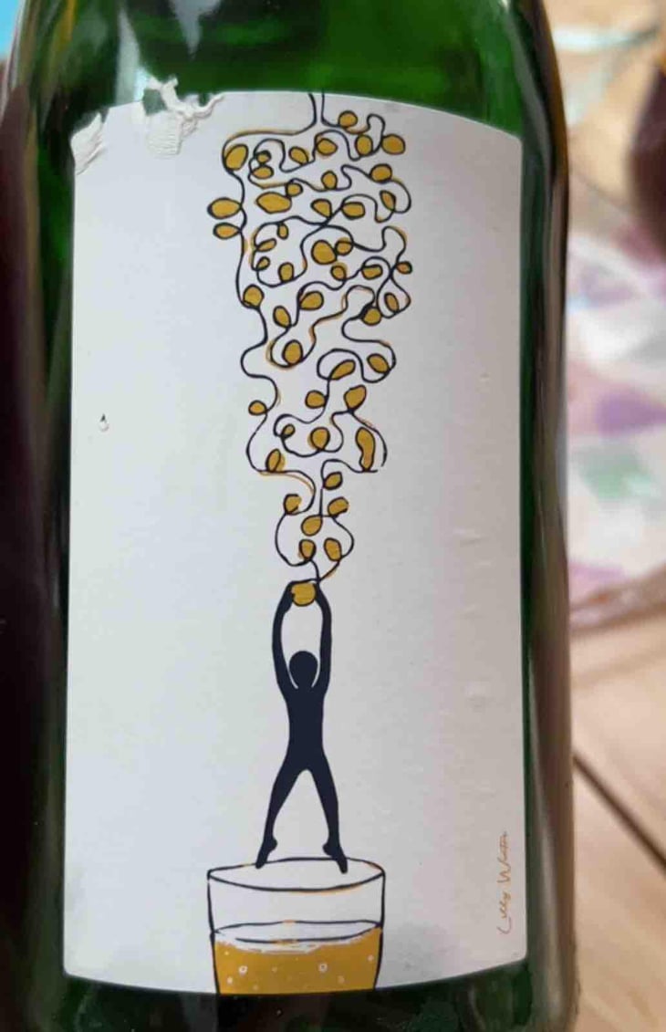 Hang On - Soma Vines - Daisy Merrick & Antoine Lucchesi. 