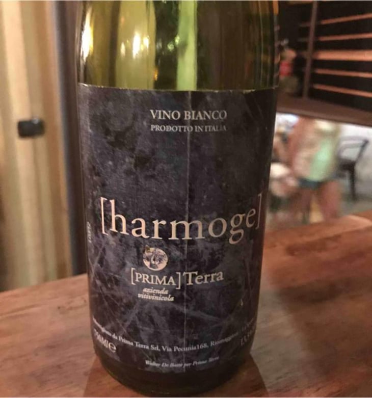 Harmoge - Primaterra - Walter De Batté 