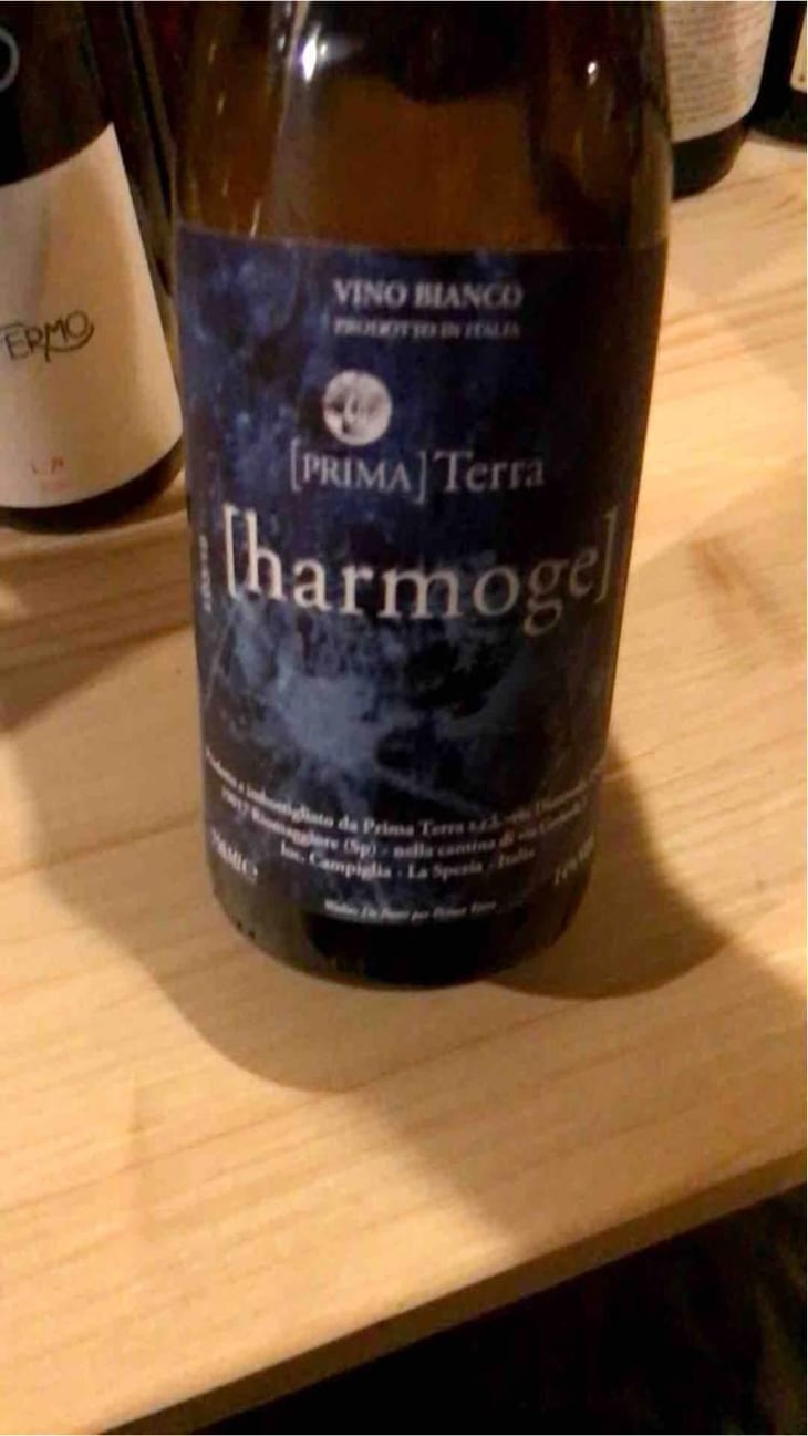 Harmoge - Primaterra - Walter De Batté 