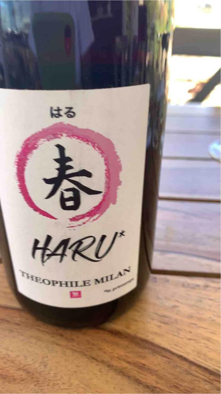 Haru - Domaine Milan - Emma, Théophile & Henri Milan 