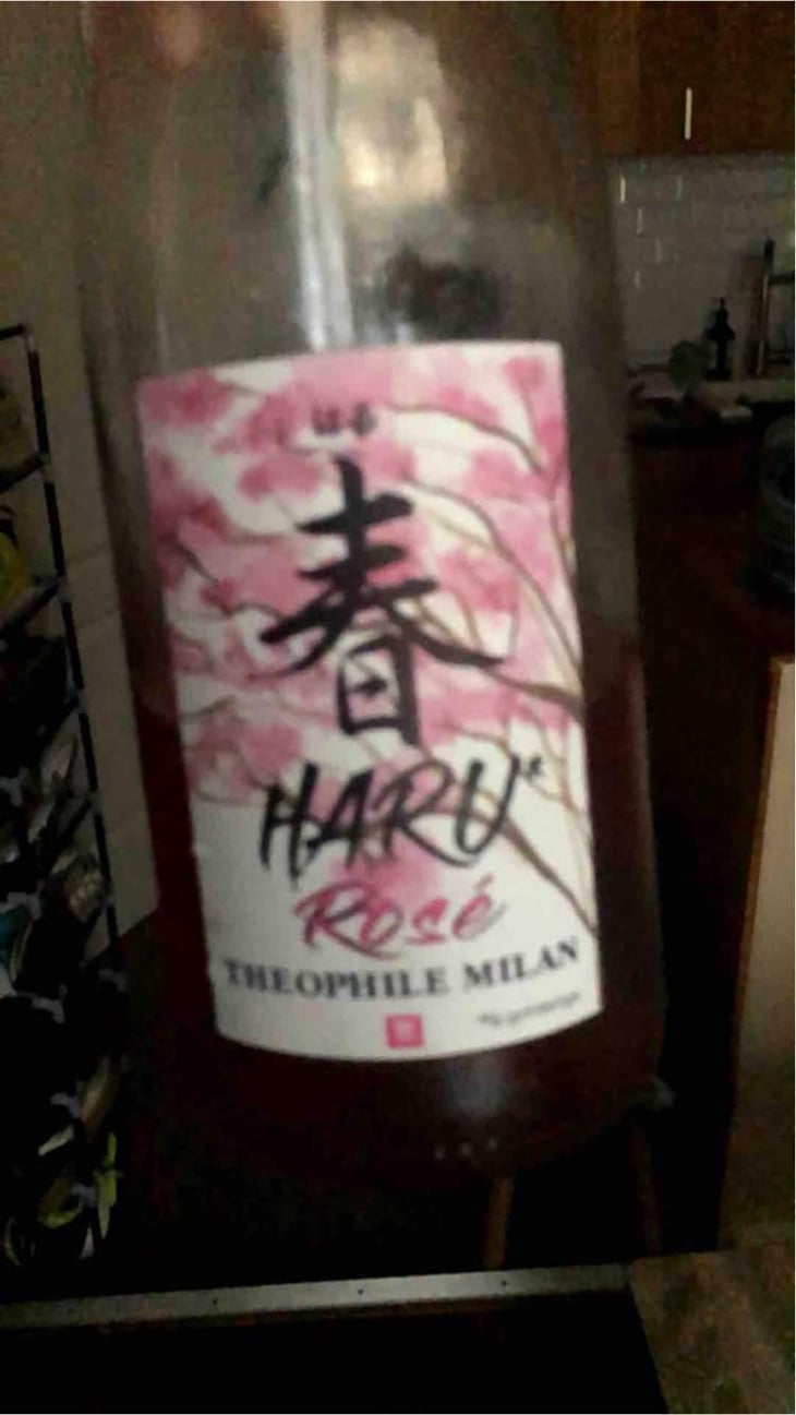 Haru Rosé - Domaine Milan - Emma, Théophile & Henri Milan 