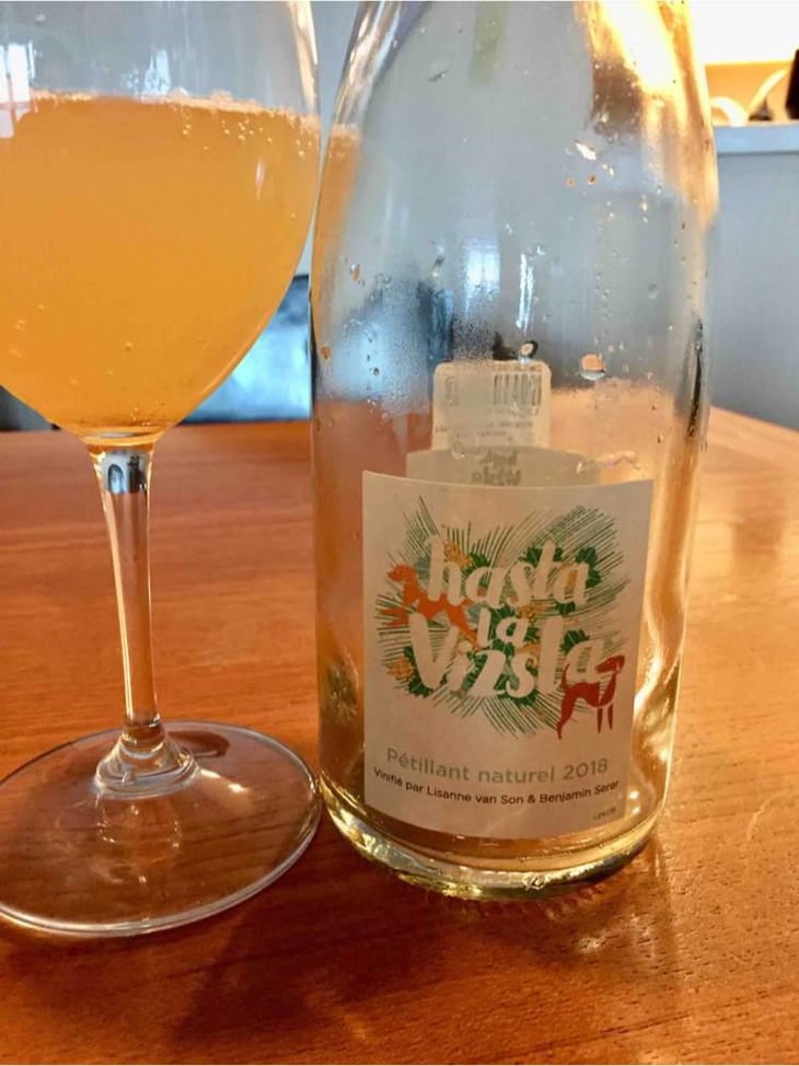 Hasta la Vizsla - Domaine des Sonnettes - Sonshine Vins - Edouard Gouyette & Lisanne van Son 