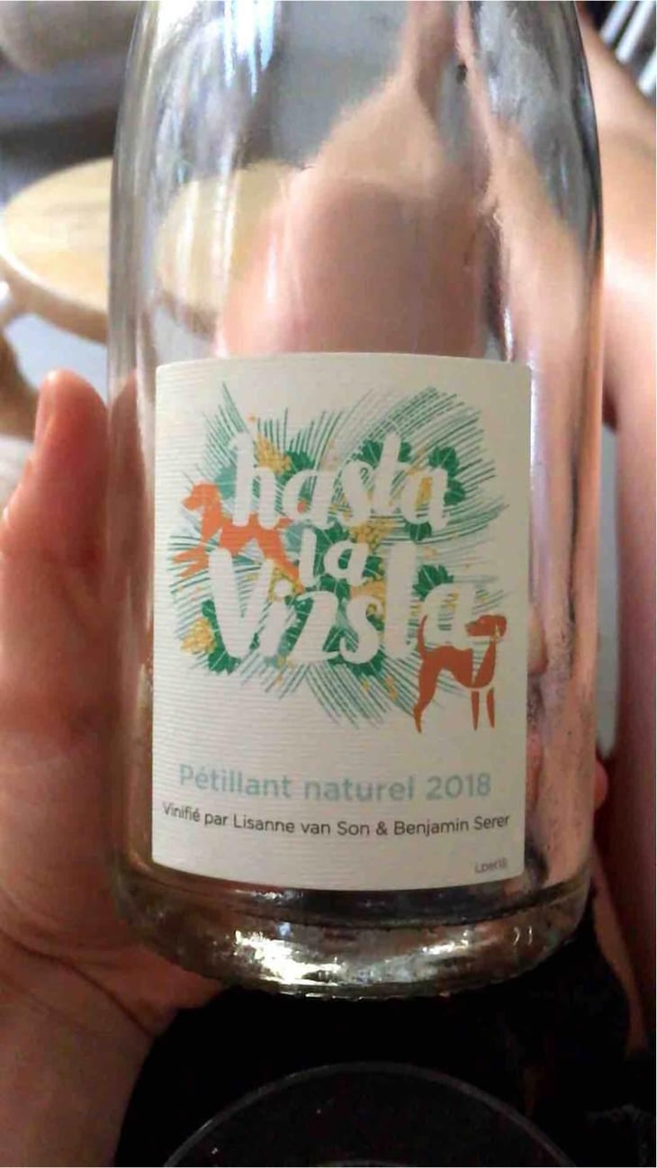 Hasta la Vizsla - Domaine des Sonnettes - Sonshine Vins - Edouard Gouyette & Lisanne van Son 