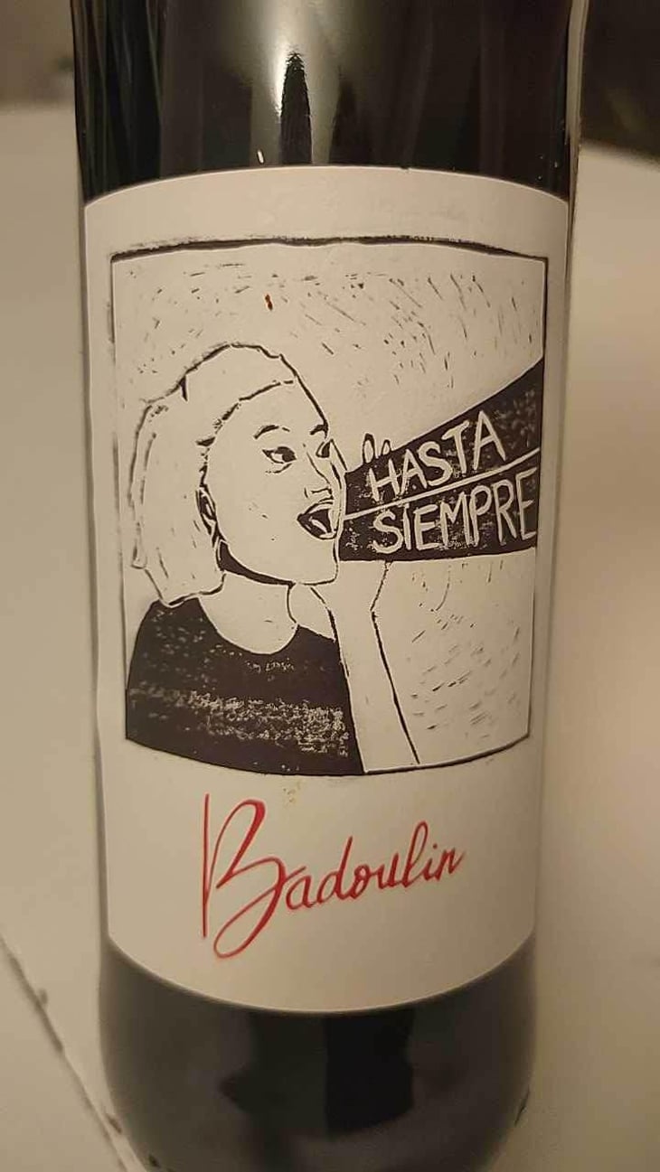 Hasta Siempre - Badoulin - Stéphan Elzière - Stéphan Elzière 