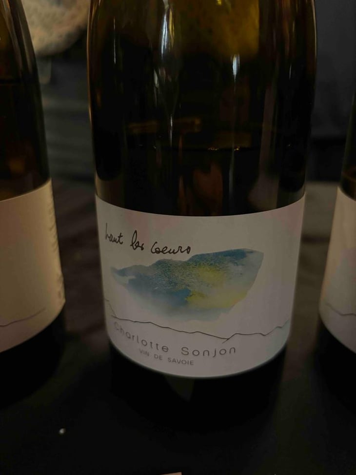 haut les coeurs - Charlotte Sonjon - Charlotte Sonjon -2021
