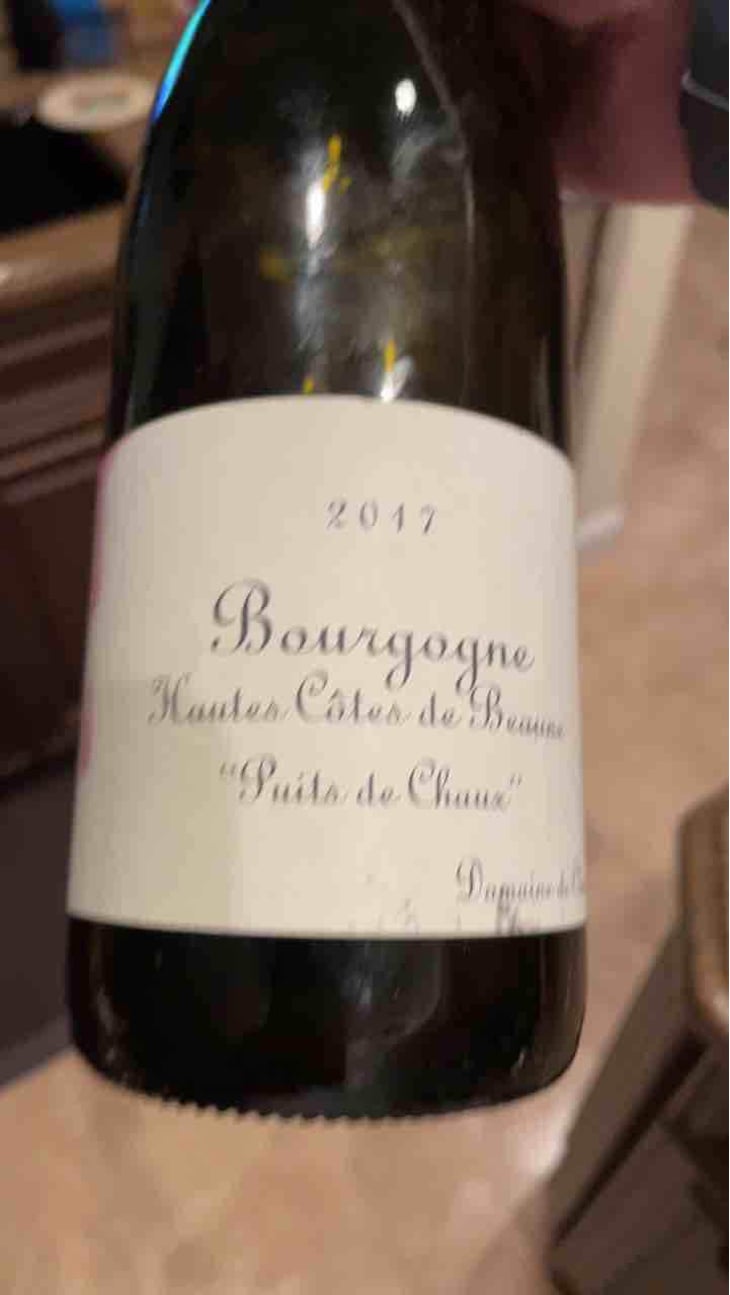 Hautes Côtes De Beaune "Puits De Chaux" - Domaine de Chassorney - Frédéric Cossard 