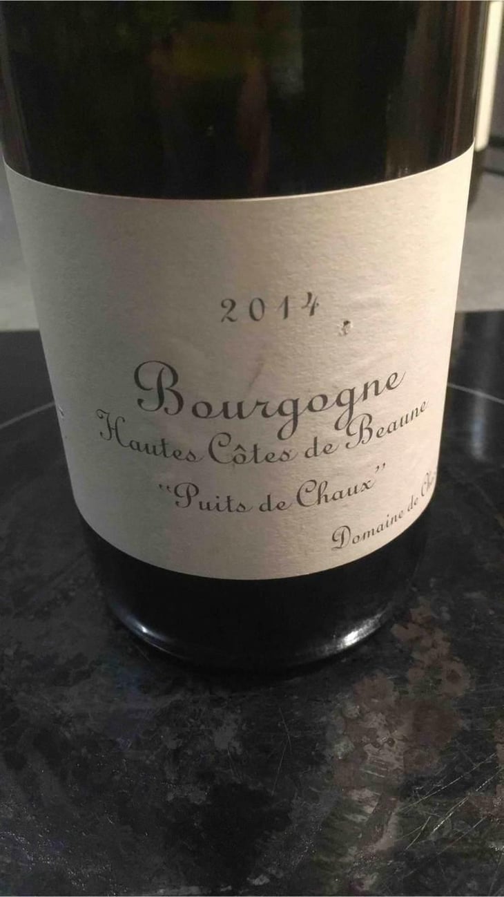 Hautes Côtes De Beaune "Puits De Chaux" - Domaine de Chassorney - Frédéric Cossard 
