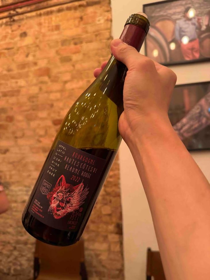 Hautes-Côtes de Beaune (rouge) - Chapuis & Chapuis - Romain & Jean-Guillaume Chapuis 