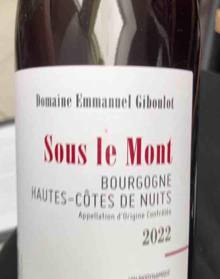 Hautes-Côtes-de-Nuits "Sous le Mont" Rouge - Domaine Emmanuel Giboulot - Emmanuel Giboulot 