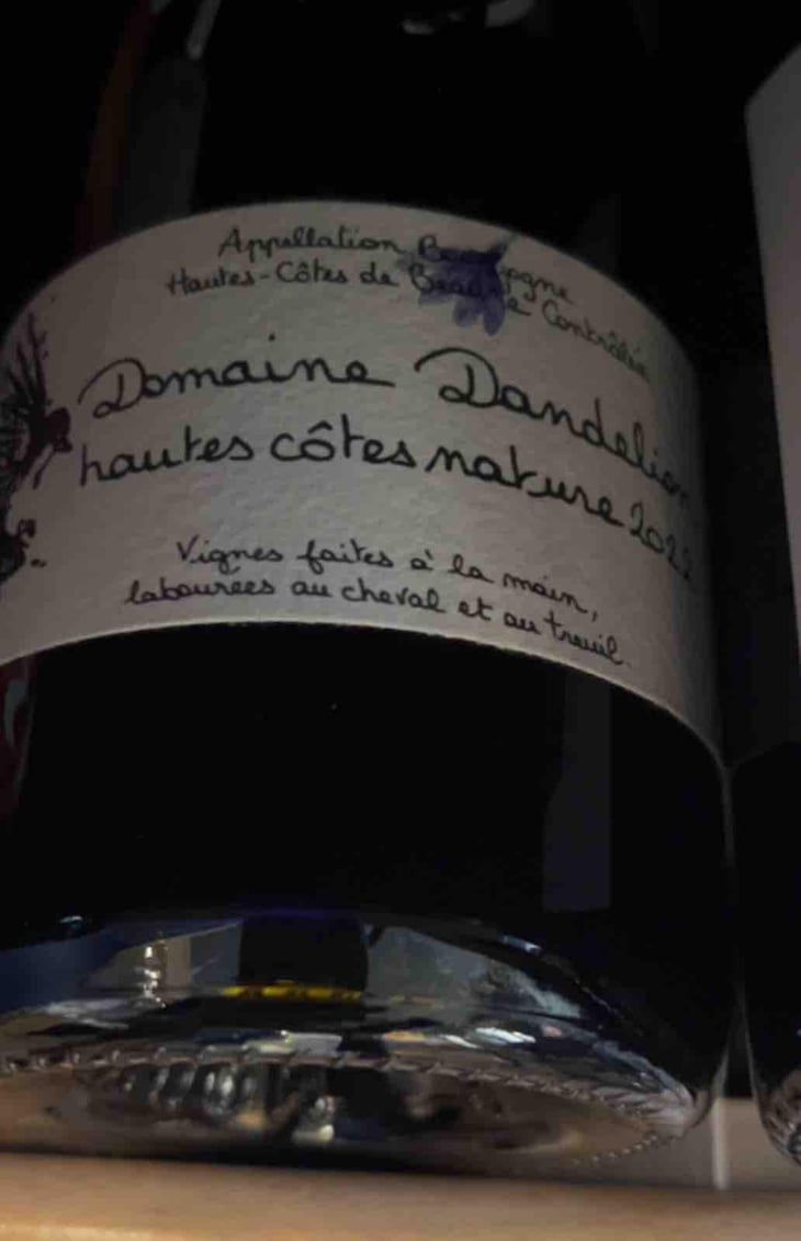 Hautes Côtes Nature - Domaine Dandelion - Morgane Seuillot & Christian Knott 