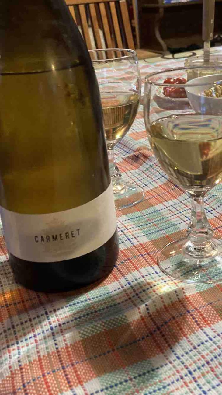 Carmeret - Domaine Lajibe - Jean-Baptiste Semmartin -2019
