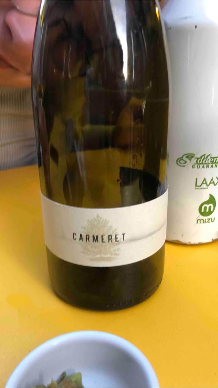 Carmeret - Domaine Lajibe - Jean-Baptiste Semmartin -2019