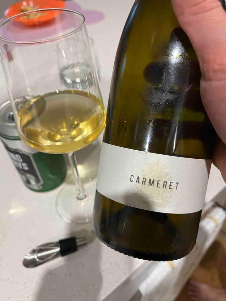 Carmeret - Domaine Lajibe - Jean-Baptiste Semmartin -2019