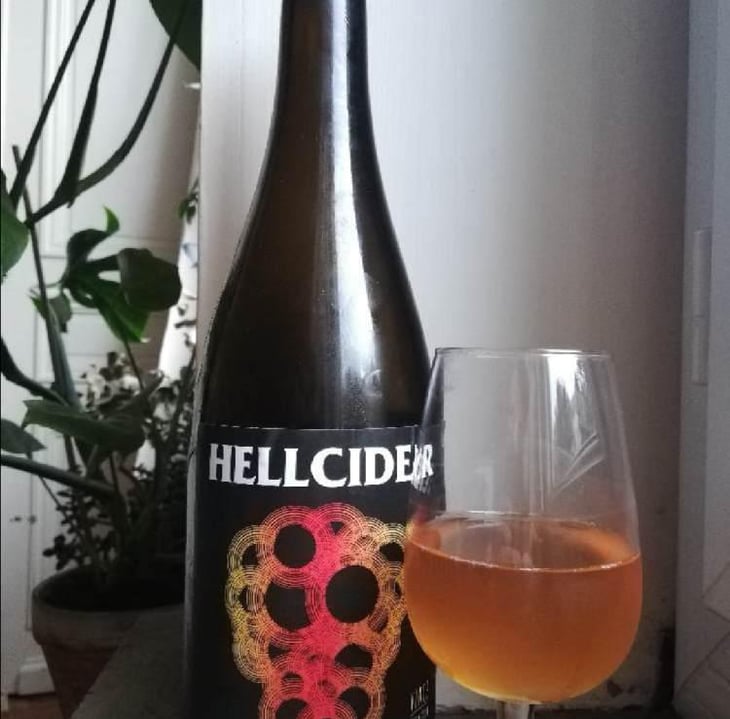 Hellcider - No Control - Vincent Marie 