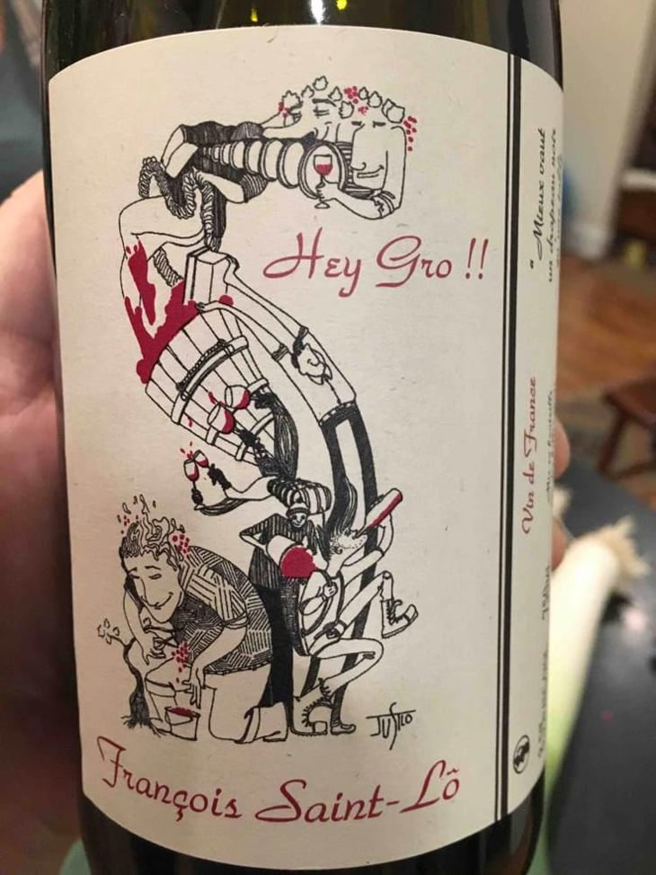 Hey Gro!! - François Saint-Lô - François Saint-Lô 