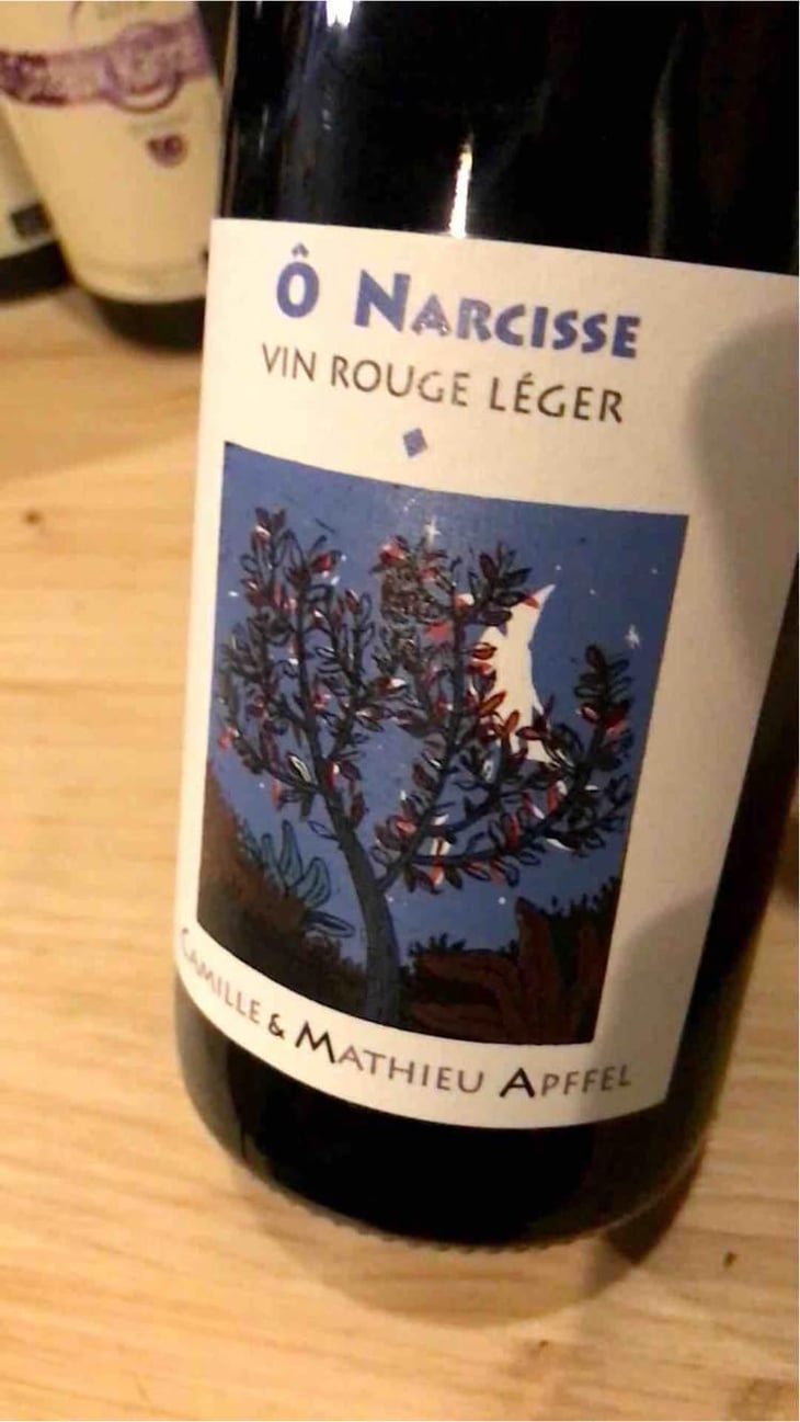 Ô Narcisse - Mathieu Apffel - Camille & Mathieu Apffel 